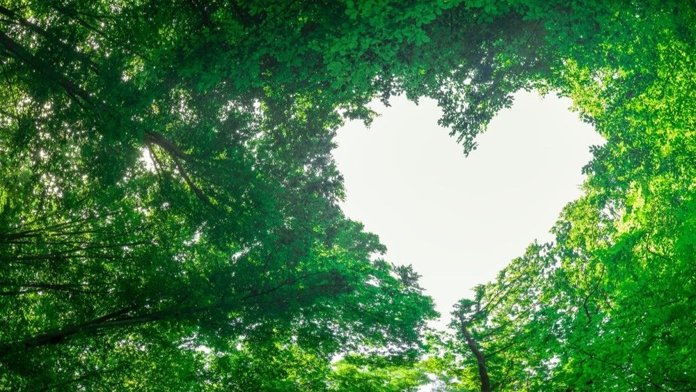 Billede til nyheden Kom til kursus i bæredygtig ledelse for gravere og kirkegårdsledere