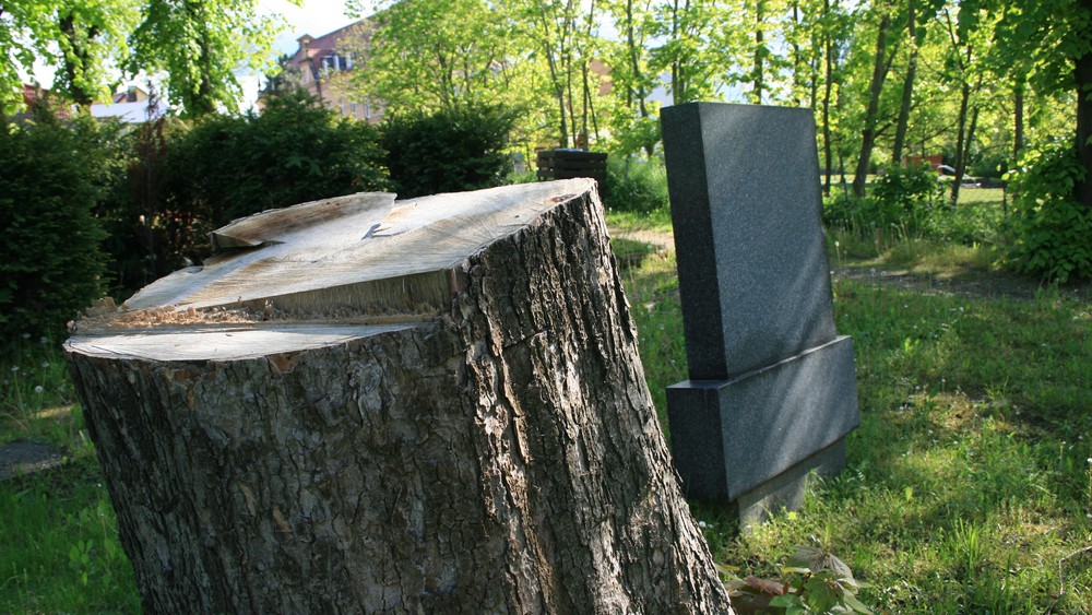 Billede til nyheden Med et årshjul kan du vise menighedsrådet, hvad du bruger din tid på og hvornår