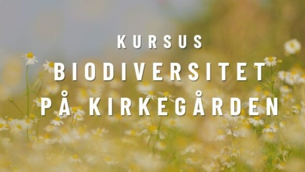 Billede til nyheden Tag på kursus i biodiversitet på kirkegården