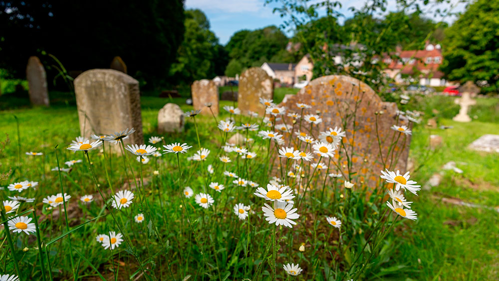 Billede til nyheden FAKK har tegnet overenskomst for kirkegårdslederne